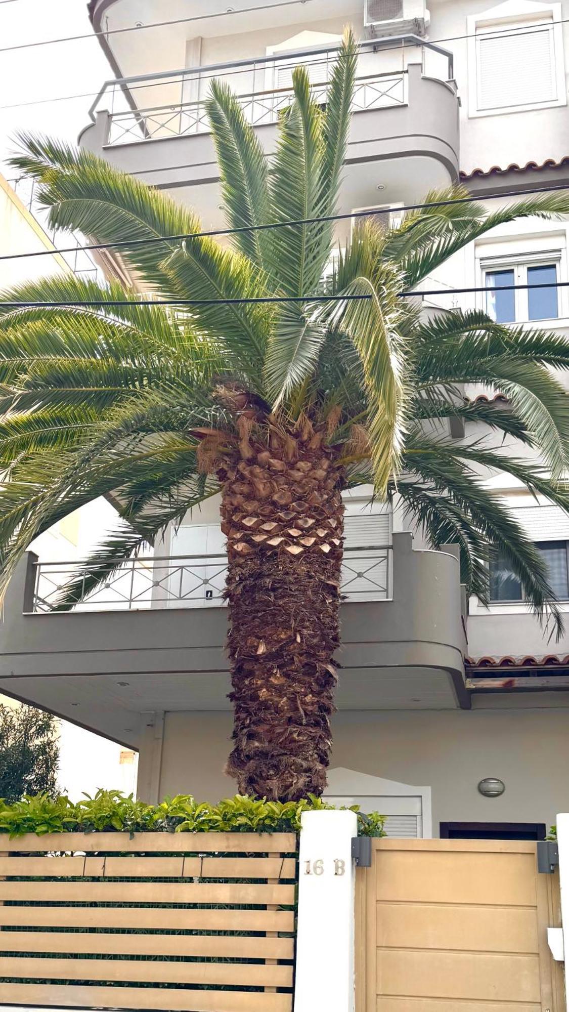 Elegant Glyfada Apartment-Private Garden-Near Metro Athen Exterior foto